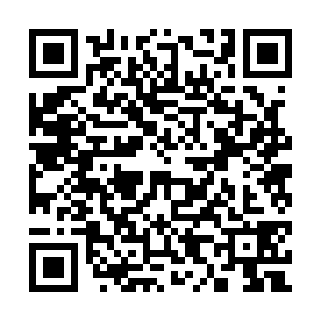 QR code for S821382