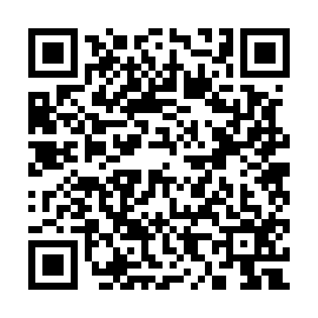 QR code for S825167