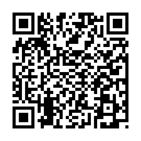 QR code for S868999