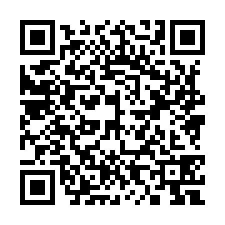 QR code for S889386
