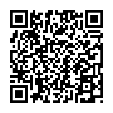 QR code for S890481