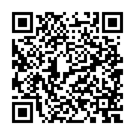 QR code for S907869