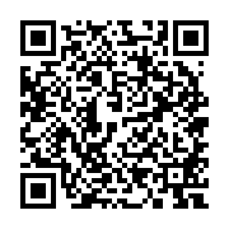 QR code for S952883