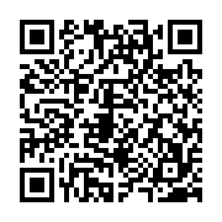 QR code for S953169