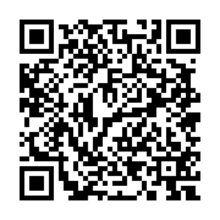 QR code for S954138