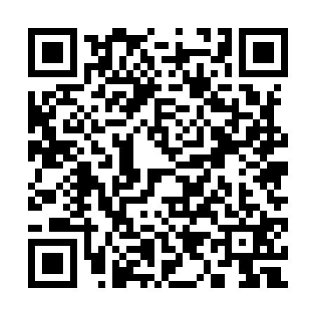 QR code for S959213