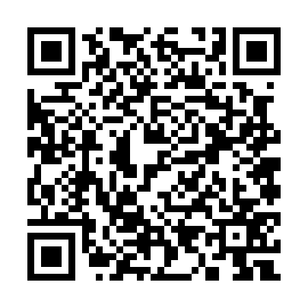 QR code for S960771