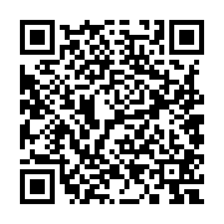 QR code for S969010
