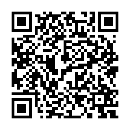 QR code for S992271