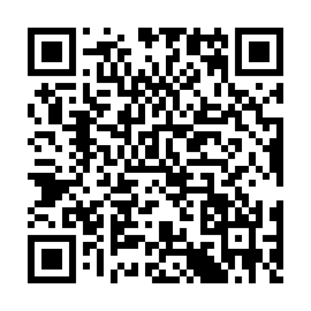 QR code for S994308