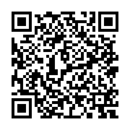 QR code for S995129