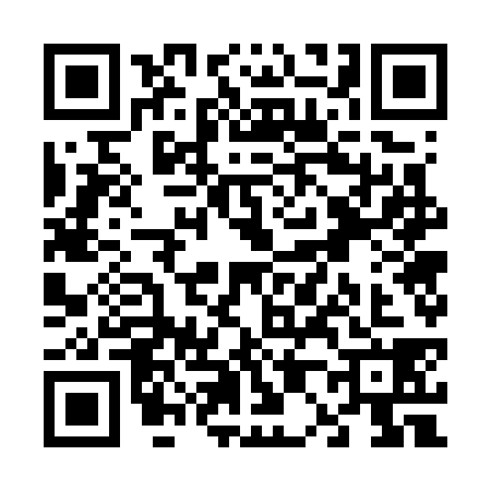QR code for V077384