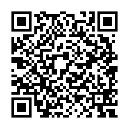 QR code for V106993