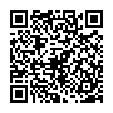 QR code for V115641