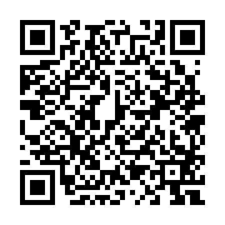QR code for V133833
