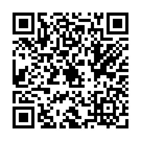 QR code for V133867