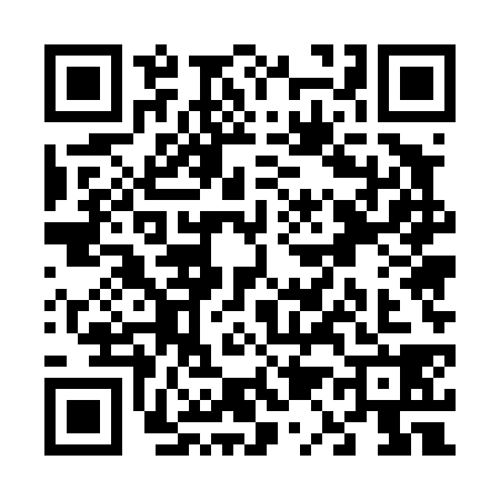 QR code for V154386