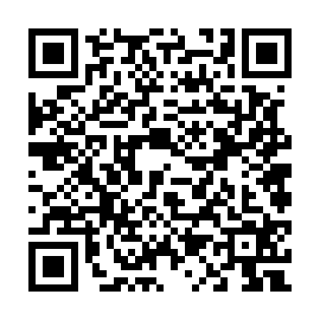 QR code for V165247