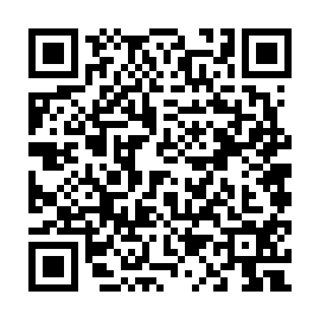 QR code for V166141