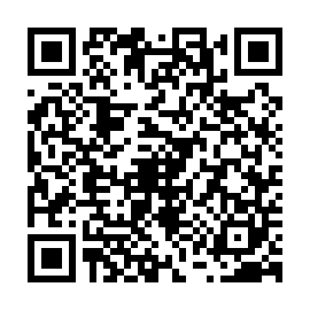 QR code for V171401