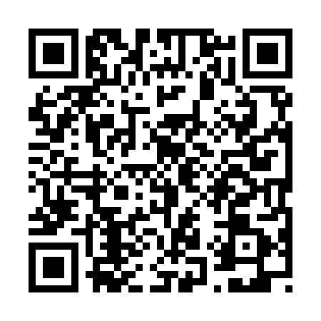 QR code for V199816