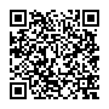 QR code for V204287