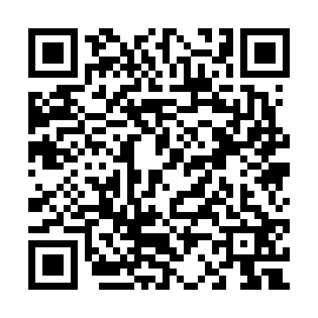 QR code for V216225