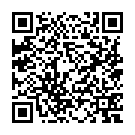 QR code for V219711