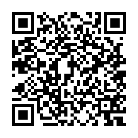 QR code for V221542