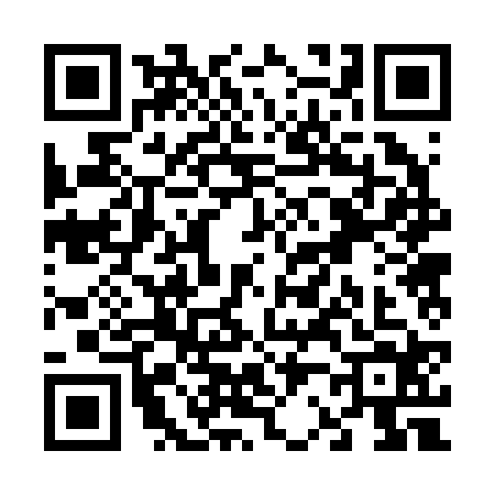 QR code for V222243
