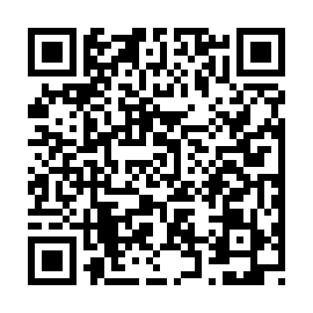 QR code for V225595