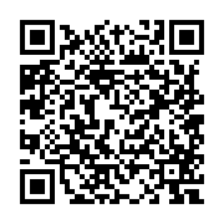 QR code for V229873