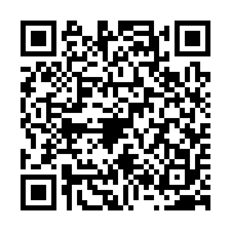 QR code for V233128