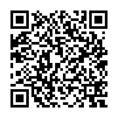 QR code for V233197