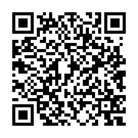 QR code for V243374