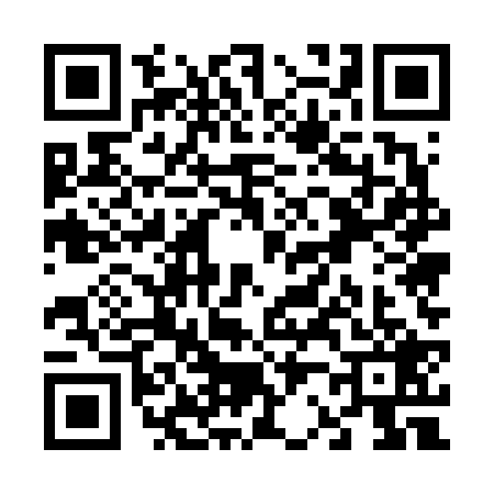 QR code for V256291