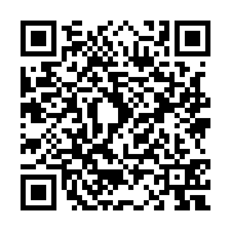 QR code for V291311