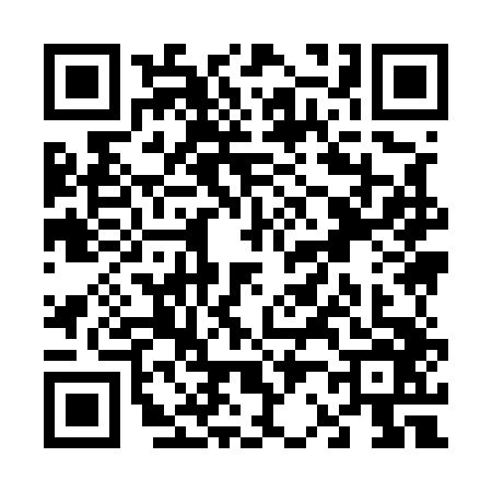 QR code for V295460