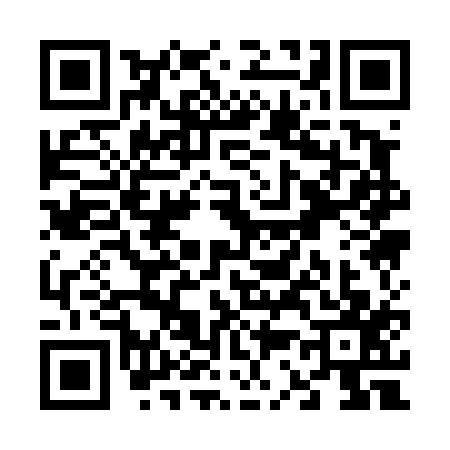QR code for V314171