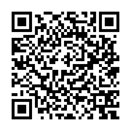 QR code for V315747