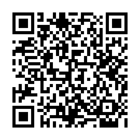 QR code for V317393