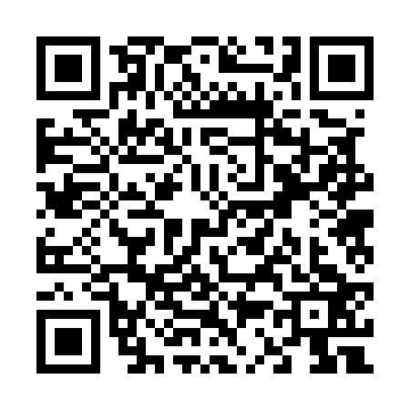 QR code for V325238