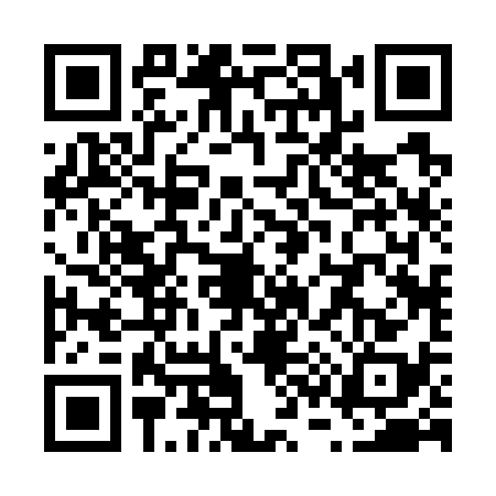 QR code for V327383