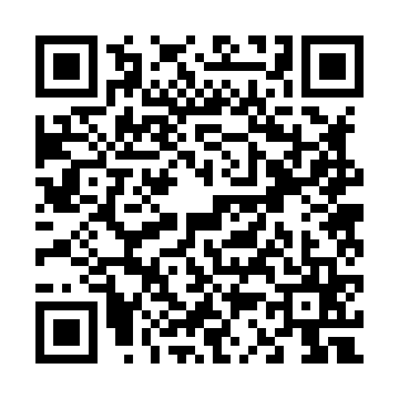 QR code for V328658