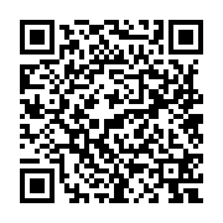 QR code for V329206