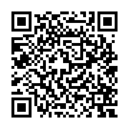 QR code for V333077