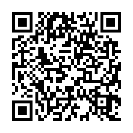QR code for V333239
