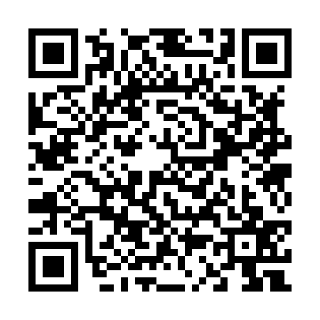 QR code for V338379