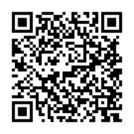QR code for V338428