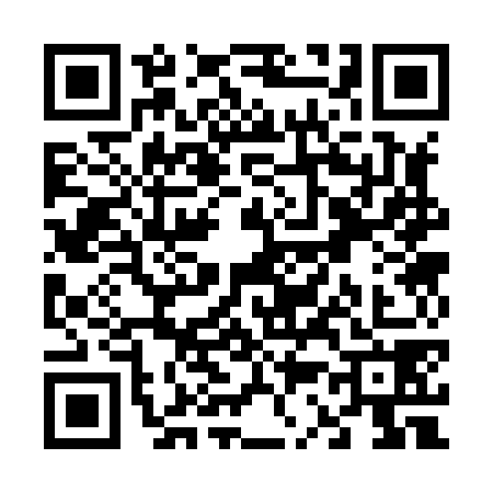 QR code for V338785